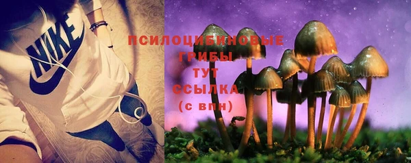 хмурый Армянск