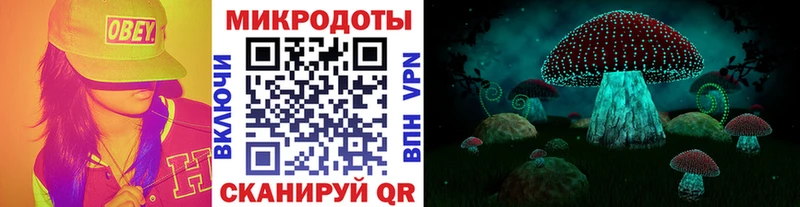Псилоцибиновые грибы прущие грибы  Купить  Алексеевка 