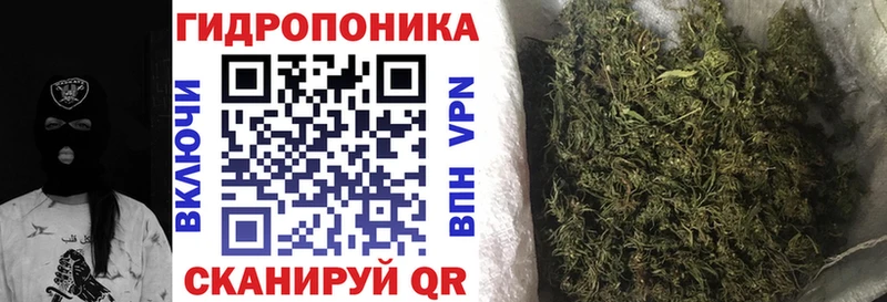Купить закладки  Алексеевка  Конопля сатива 